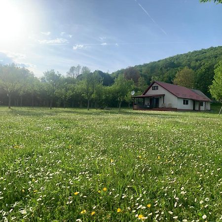 Vila La Prairie Korenica Exteriér fotografie