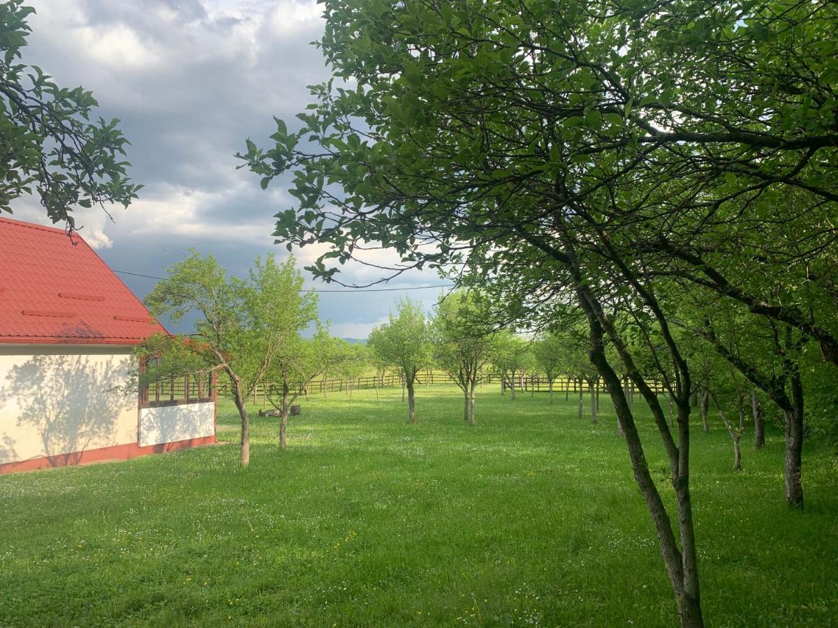 Vila La Prairie Korenica Exteriér fotografie